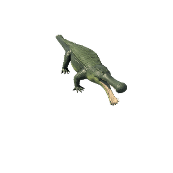 Sarcosuchus4 Variant